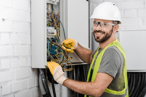 Best Ceiling Fan Installation Electrician  in Chena Ridge, AK