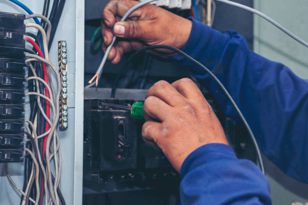 Best Electrical Repair Services  in Chena Ridge, AK