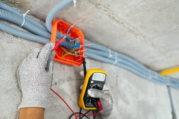 Best Home Electrical Repair  in Chena Ridge, AK